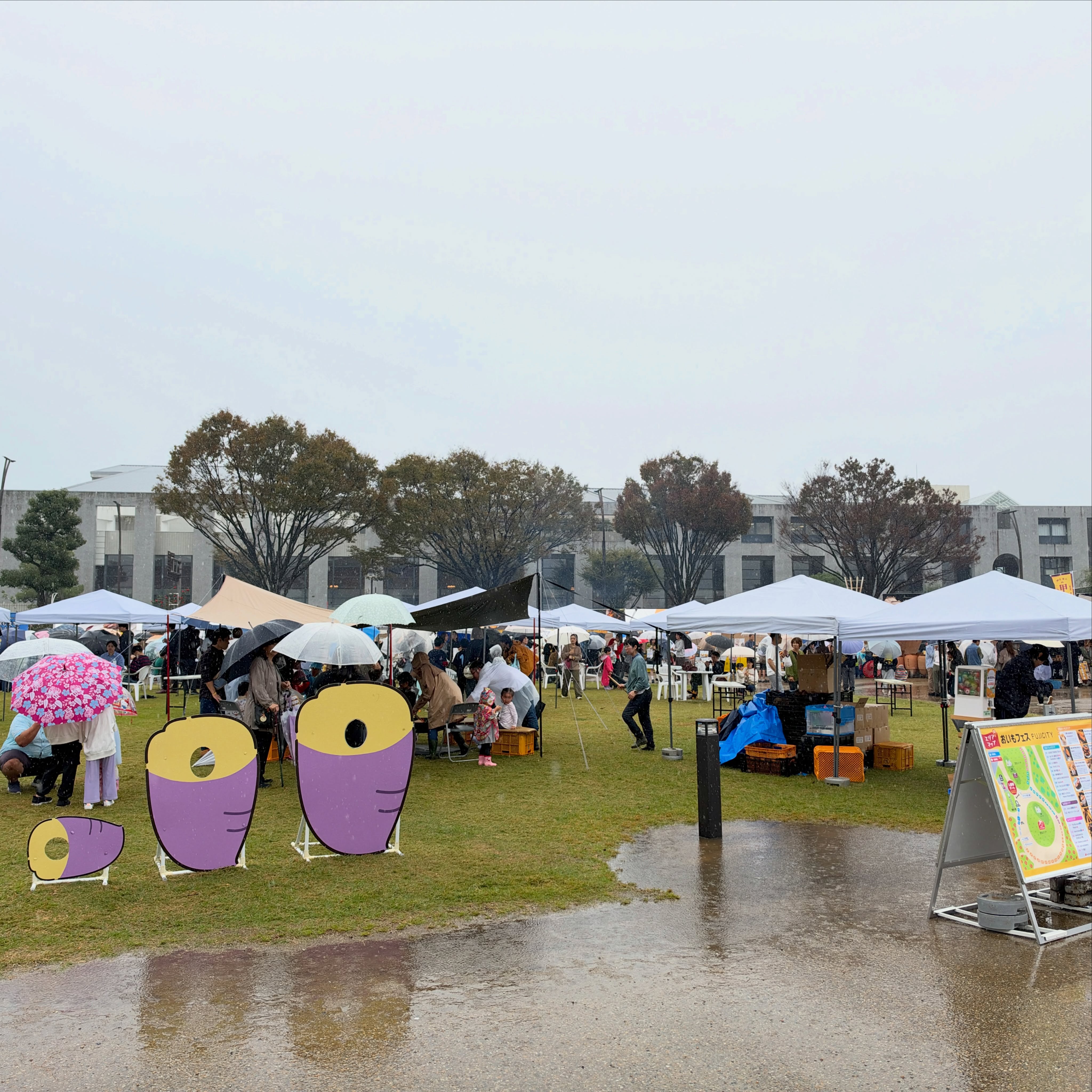 おいもフェス FUJICITY、2日目も開催中！ あいにくの雨ですが、風は落ち着いています☔️ ご来場の際は傘をお持ちのうえ、暖かい服装でお越しください。 イー